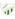 Santa Amalia